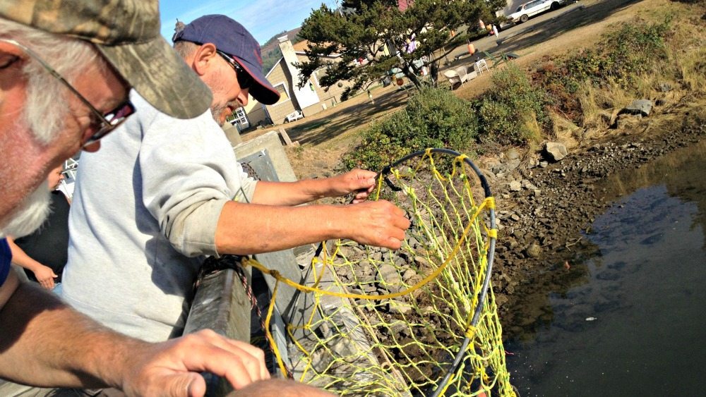 Bridge Fishing Net