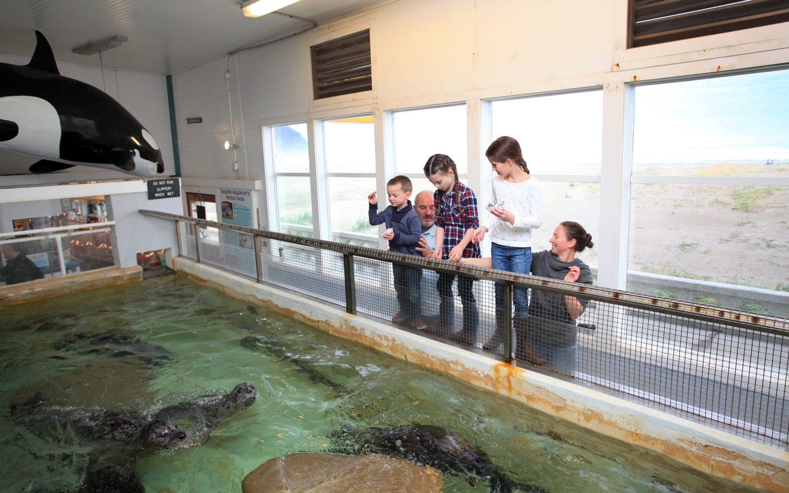 Children feed the Harbor Seals at the Seaside Aquarium in Seaside, Oregon.