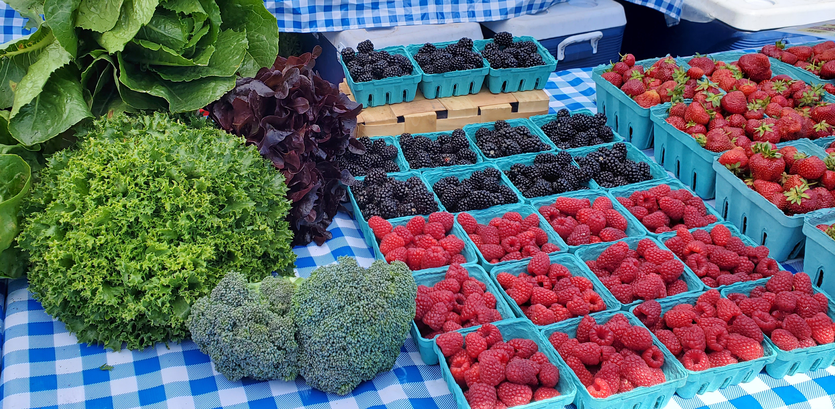 How to set up a farmers market stall to make your products shine 