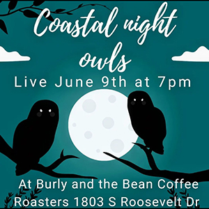 Coastal Night Owls music poster