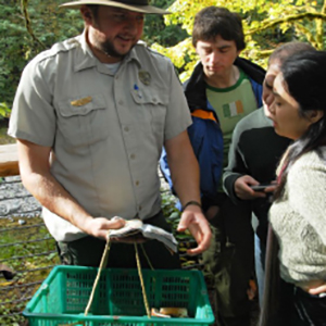 Park Ranger Mushroom hunting